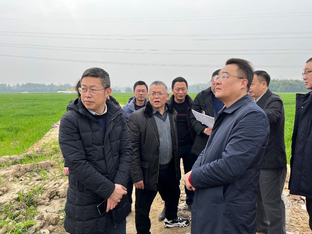 省社、省供投集團(tuán)領(lǐng)導(dǎo)調(diào)研青白江區(qū)四川現(xiàn)代供銷(xiāo)種業(yè)園區(qū)