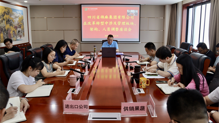 集團(tuán)公司召開在改革轉(zhuǎn)型中涉及管理板塊、架構(gòu)、人員調(diào)整座談會