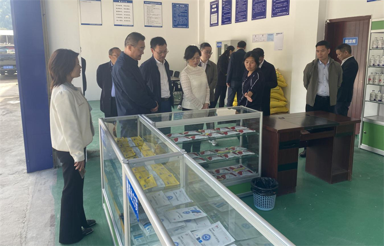 四川省供銷社黨組成員、理事會副主任、一級巡視員楊武秀帶隊到萬源調(diào)研集團舊院黑雞產(chǎn)業(yè)發(fā)展工作